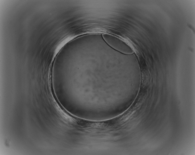 X0000092051387200709121204