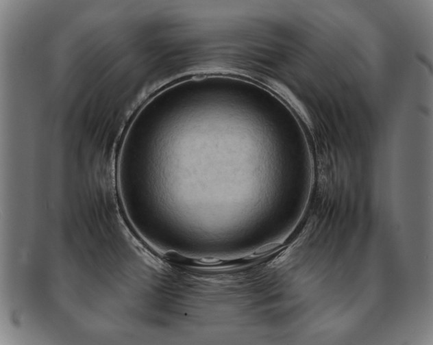 X0000092051388200709121204