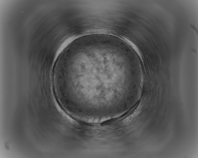 X0000092051389200709121204