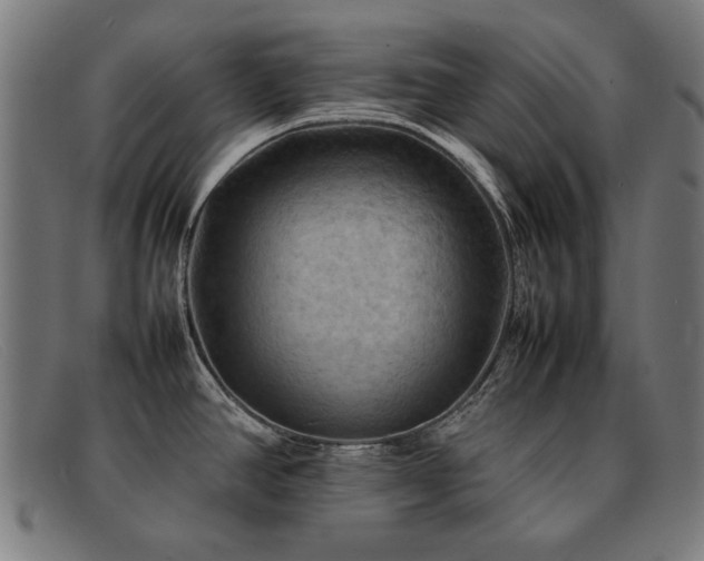 X0000092051390200709121204