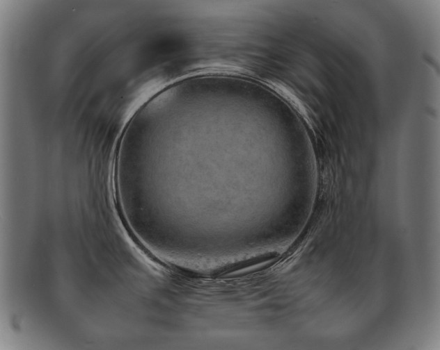 X0000092051391200709121204