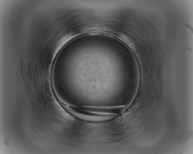 X0000092051392200709121204