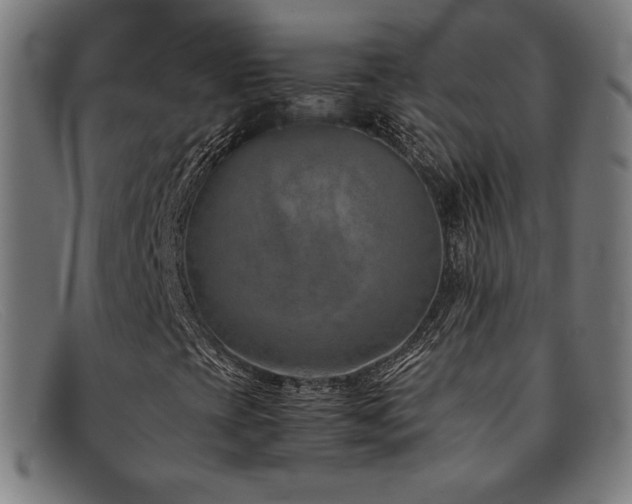 X0000092051393200709121203