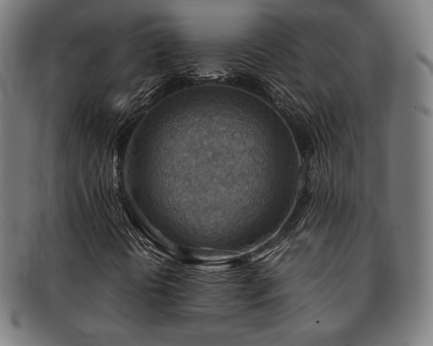 X0000092051394200709121203