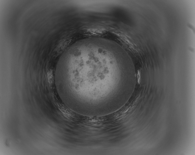 X0000092051395200709121203