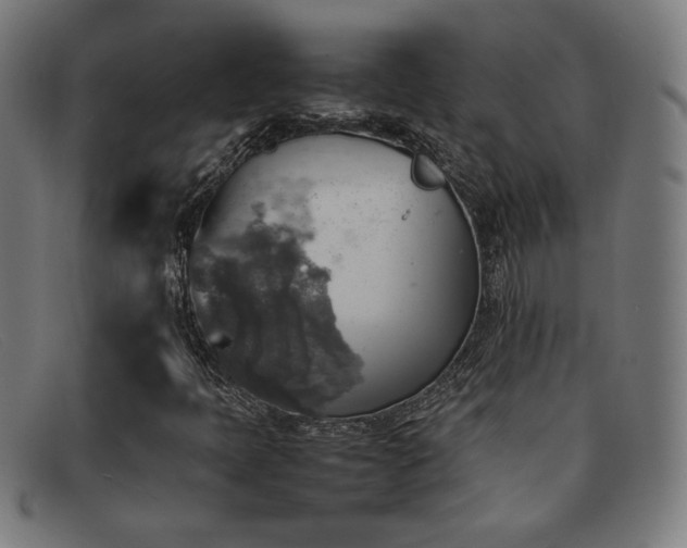 X0000092051397200709121203