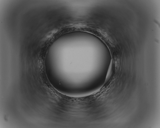 X0000092051398200709121203