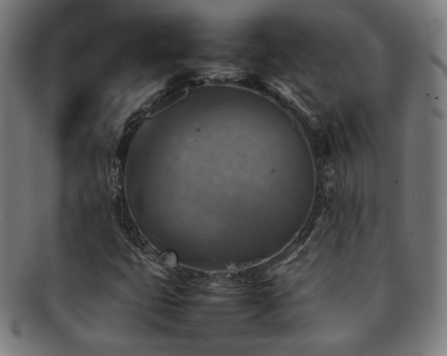 X0000092051399200709121203