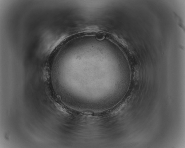 X0000092051400200709121203
