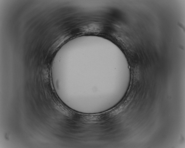 X0000092051401200709121203