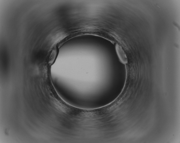 X0000092051402200709121203