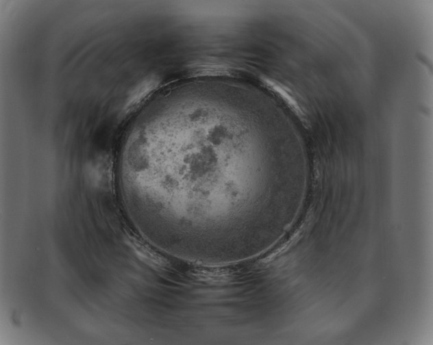 X0000092051403200709121203