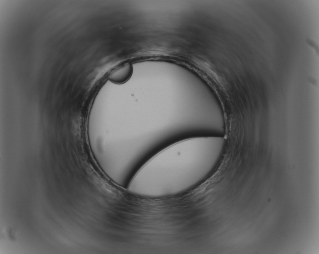 X0000092051404200709121203