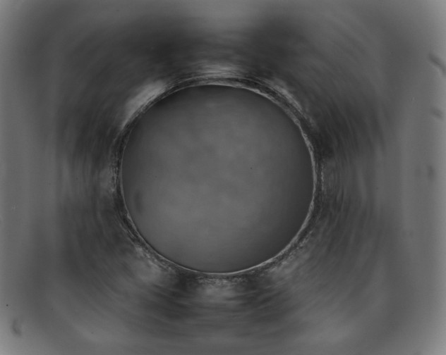 X0000092051405200709121203