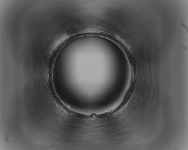 X0000092051406200709121203