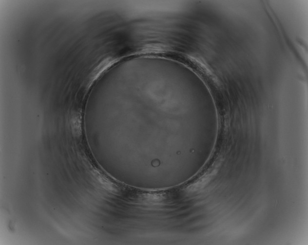 X0000092051409200709121203