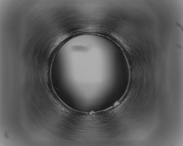 X0000092051410200709121203