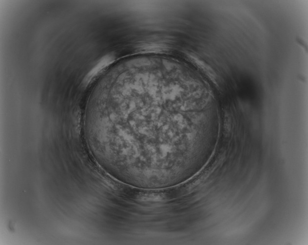 X0000092051411200709121203