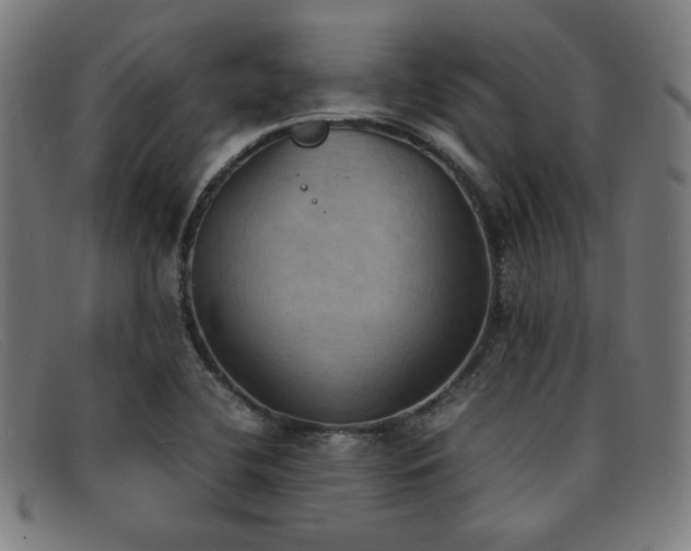 X0000092051412200709121203