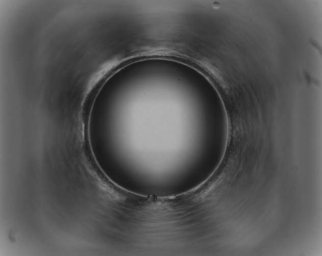 X0000092051414200709121203