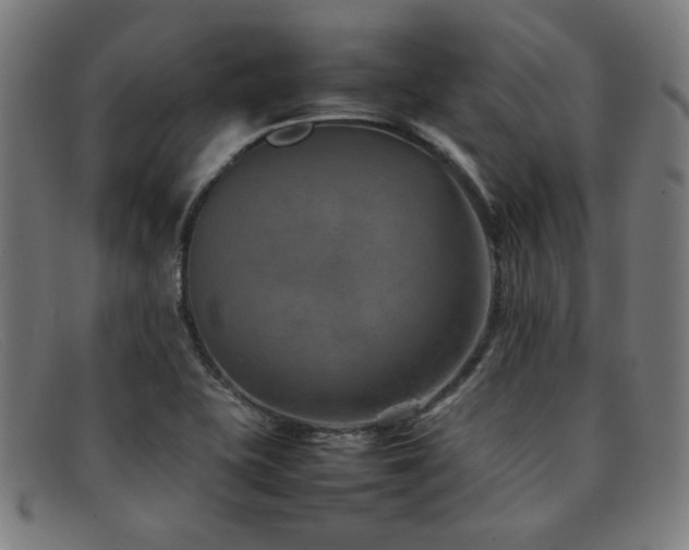 X0000092051415200709121203