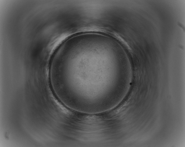 X0000092051416200709121203