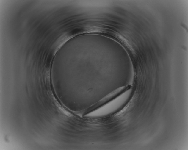 X0000092051417200709121203