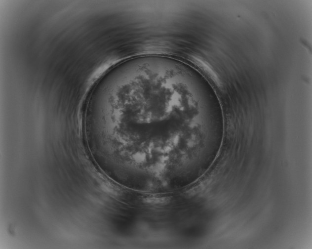 X0000092051419200709121203