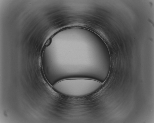 X0000092051420200709121203