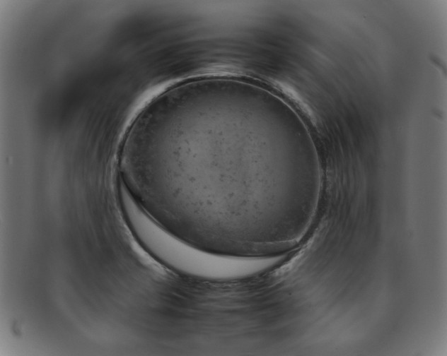 X0000092051421200709121203