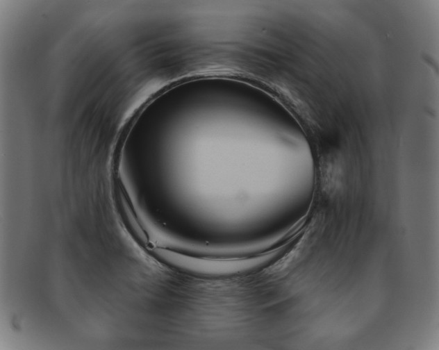 X0000092051422200709121203