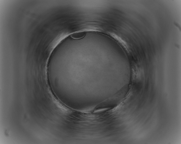 X0000092051423200709121203