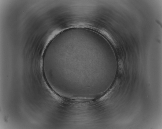 X0000092051424200709121203