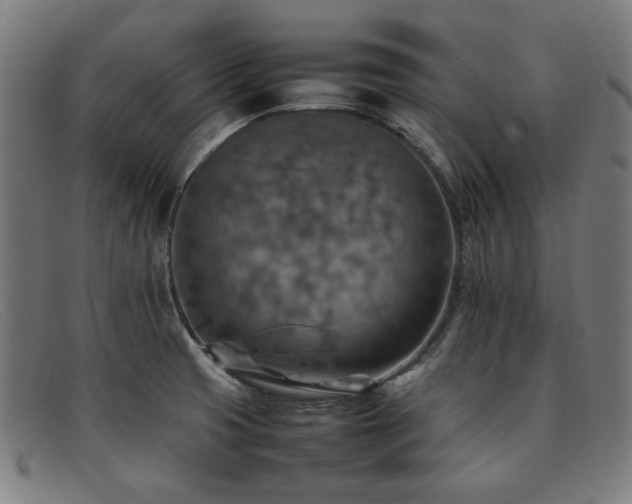 X0000092051425200709121203