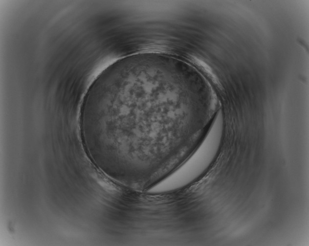 X0000092051427200709121203