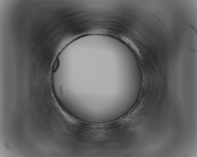 X0000092051429200709121203