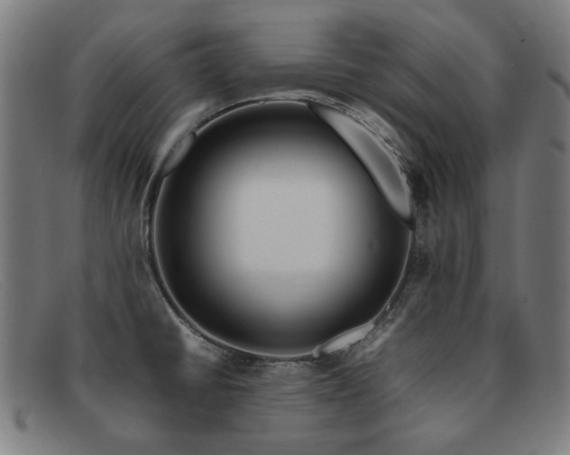 X0000092051430200709121204