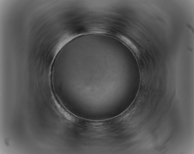 X0000092051431200709121204