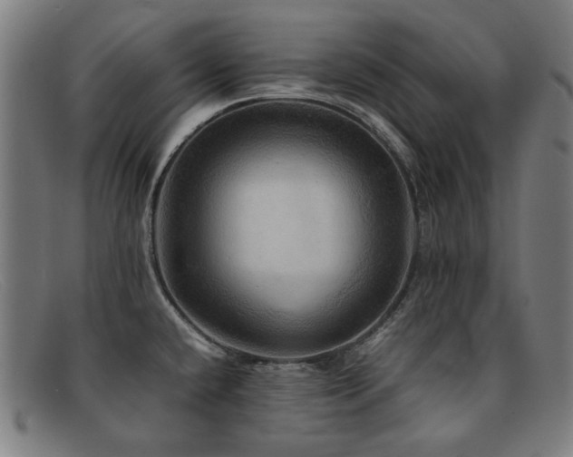 X0000092051432200709121204