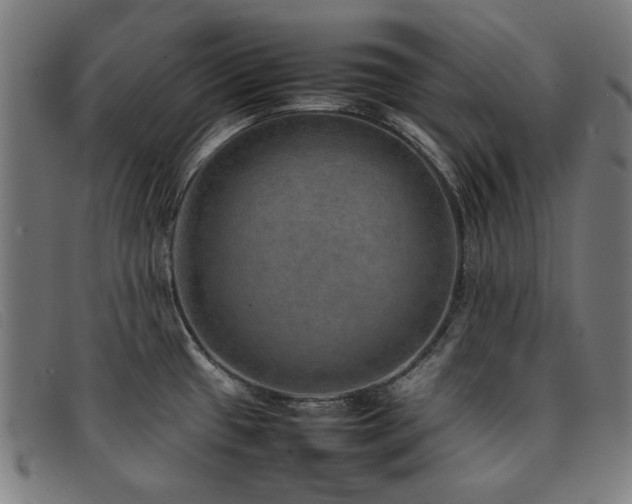 X0000092051433200709121204