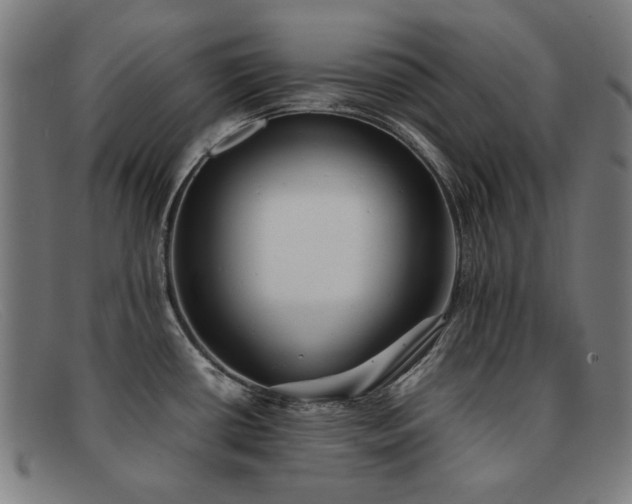 X0000092051434200709121204