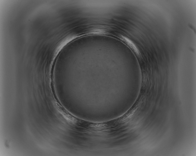 X0000092051435200709121204