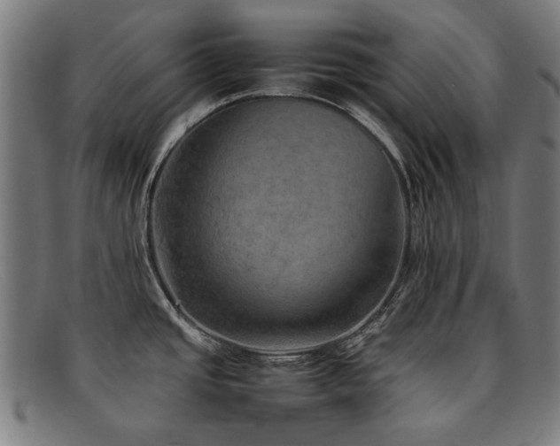 X0000092051437200709121204