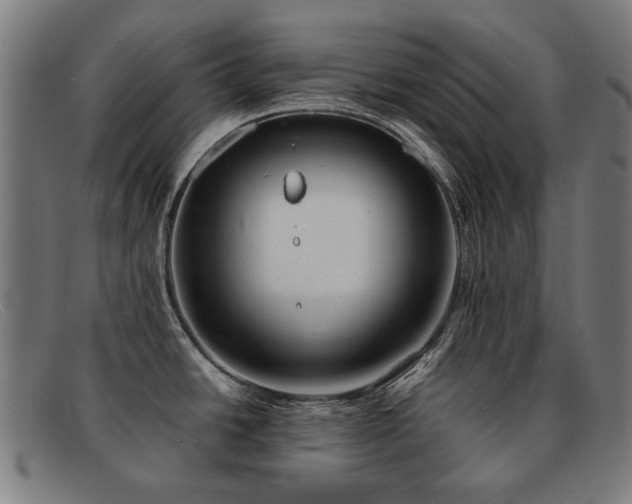 X0000092051438200709121204