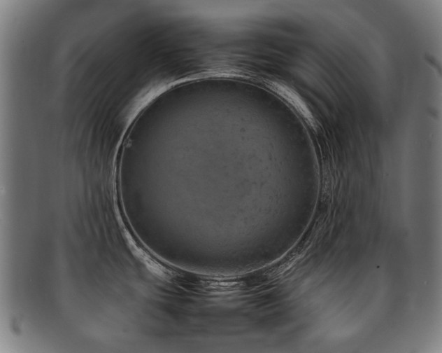 X0000092051439200709121204