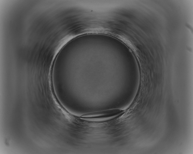 X0000092051440200709121204