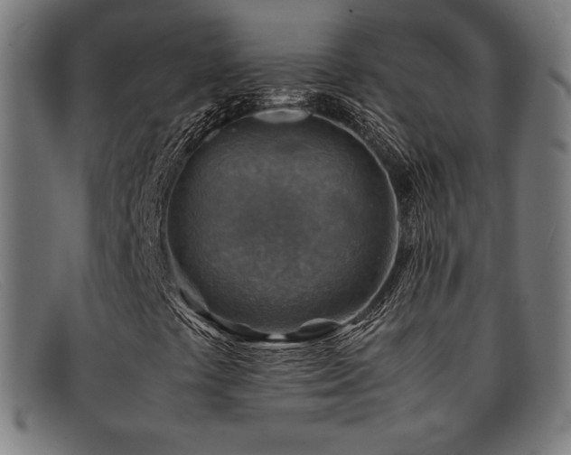 X0000092051441200709121203