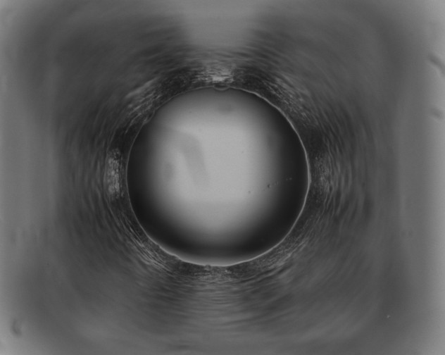 X0000092051442200709121203