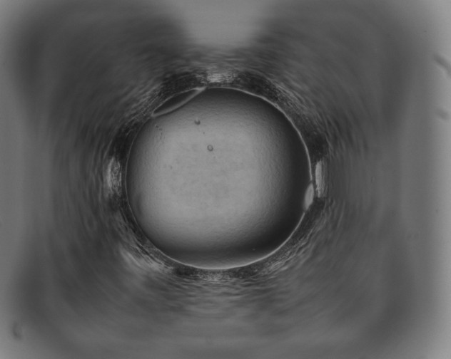 X0000092051443200709121203