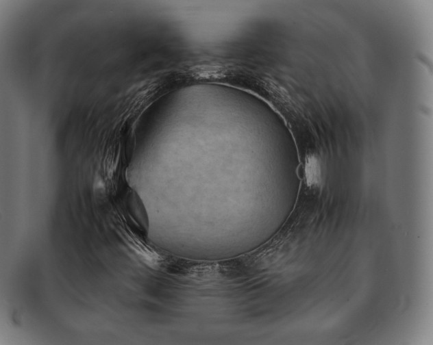 X0000092051444200709121203